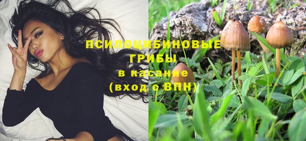 мяу мяу мука Белоозёрский